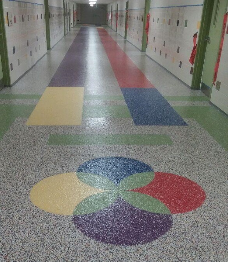 Colorflake Application for Schools